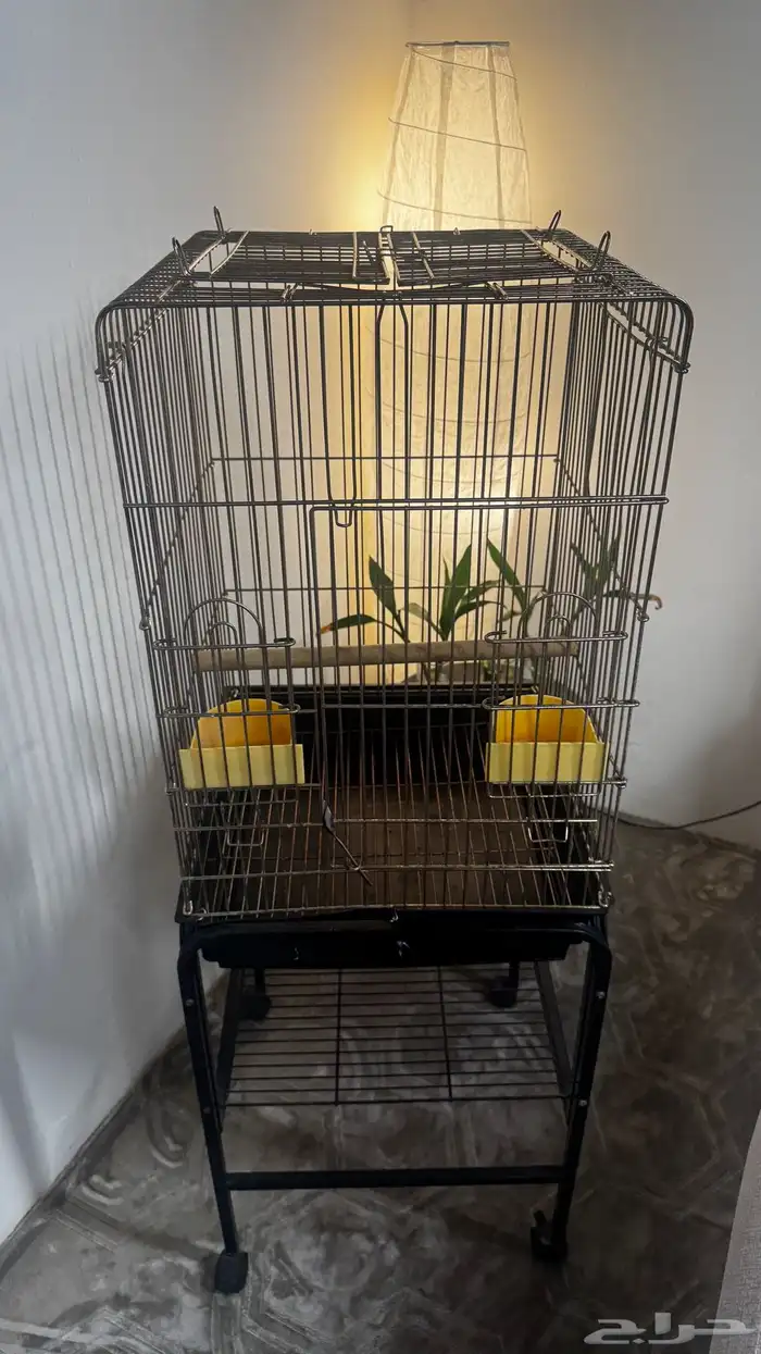 قفص ببغاء 4