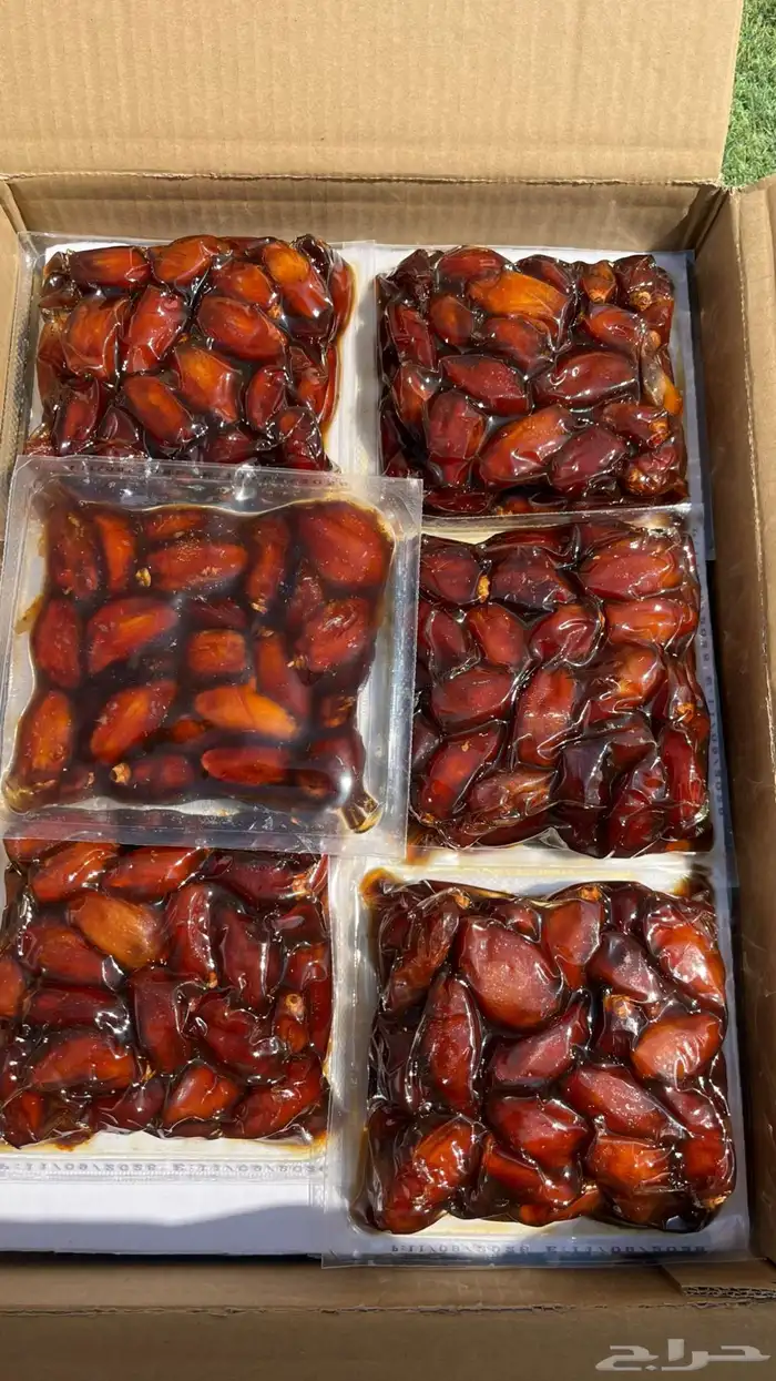 تمر صفري بيشة فااخر 1