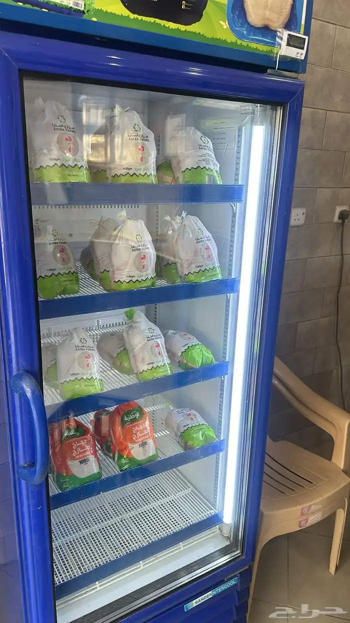 بيض بلدي طازج   دجاج مبرد 1