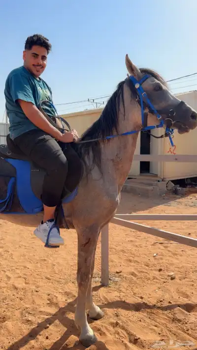 يوحد ايوا وعلاج وتدريب وعسف الموقع دايرب index