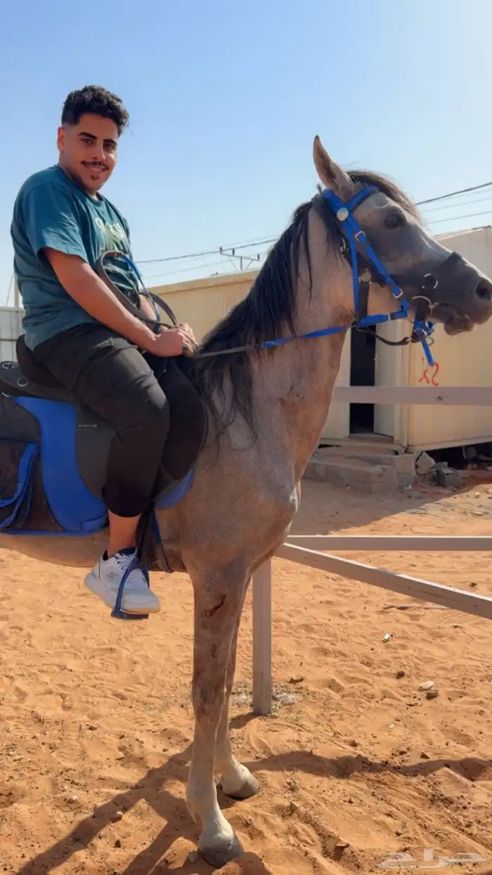 يوحد ايوا وعلاج وتدريب وعسف الموقع دايرب 1