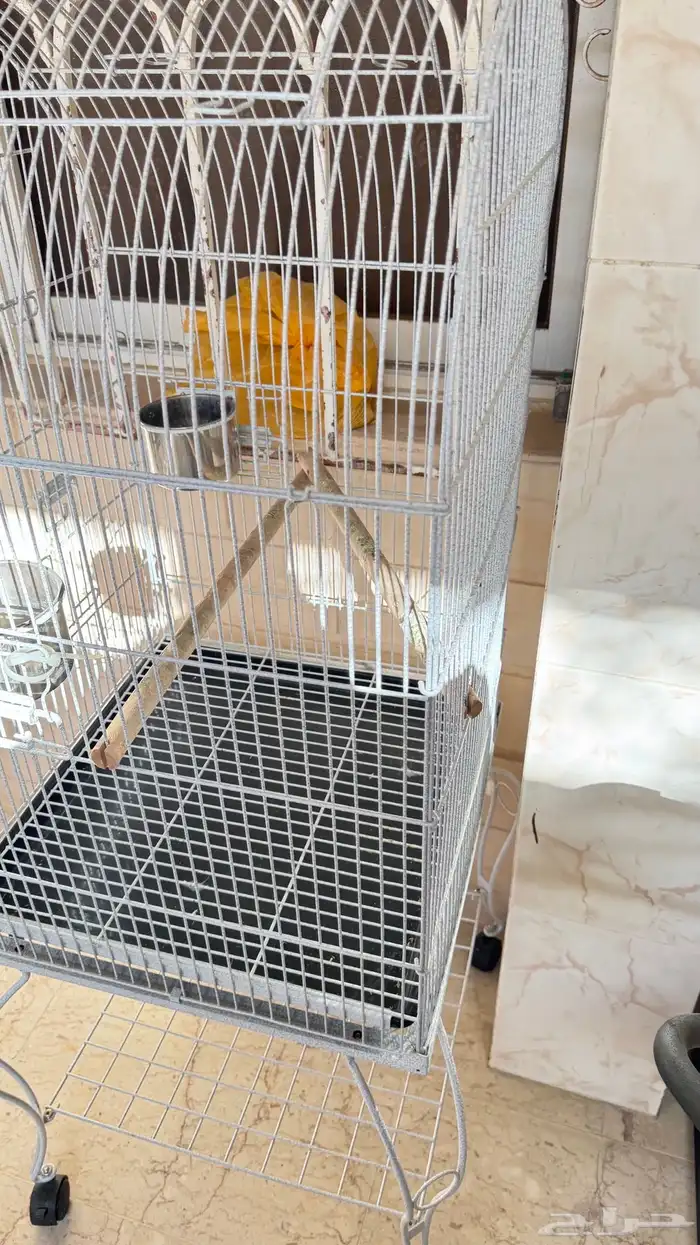 قفص كبير معى ستاند كبير 2