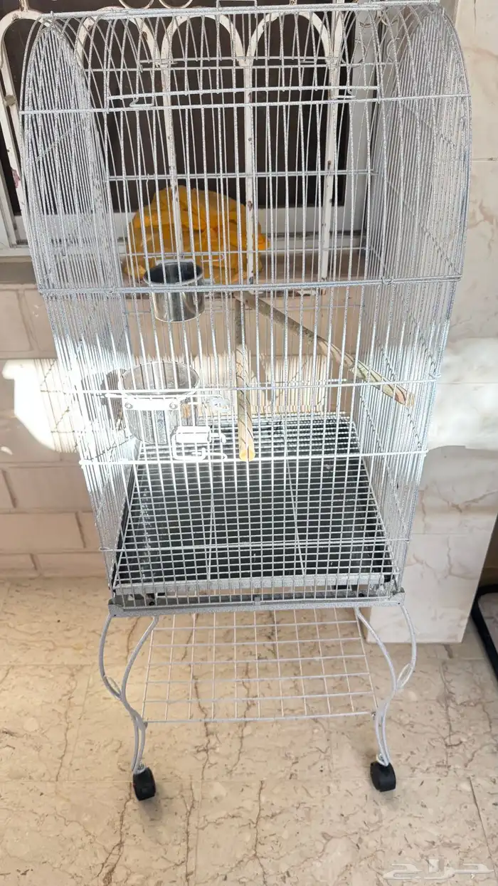 قفص كبير معى ستاند كبير 1