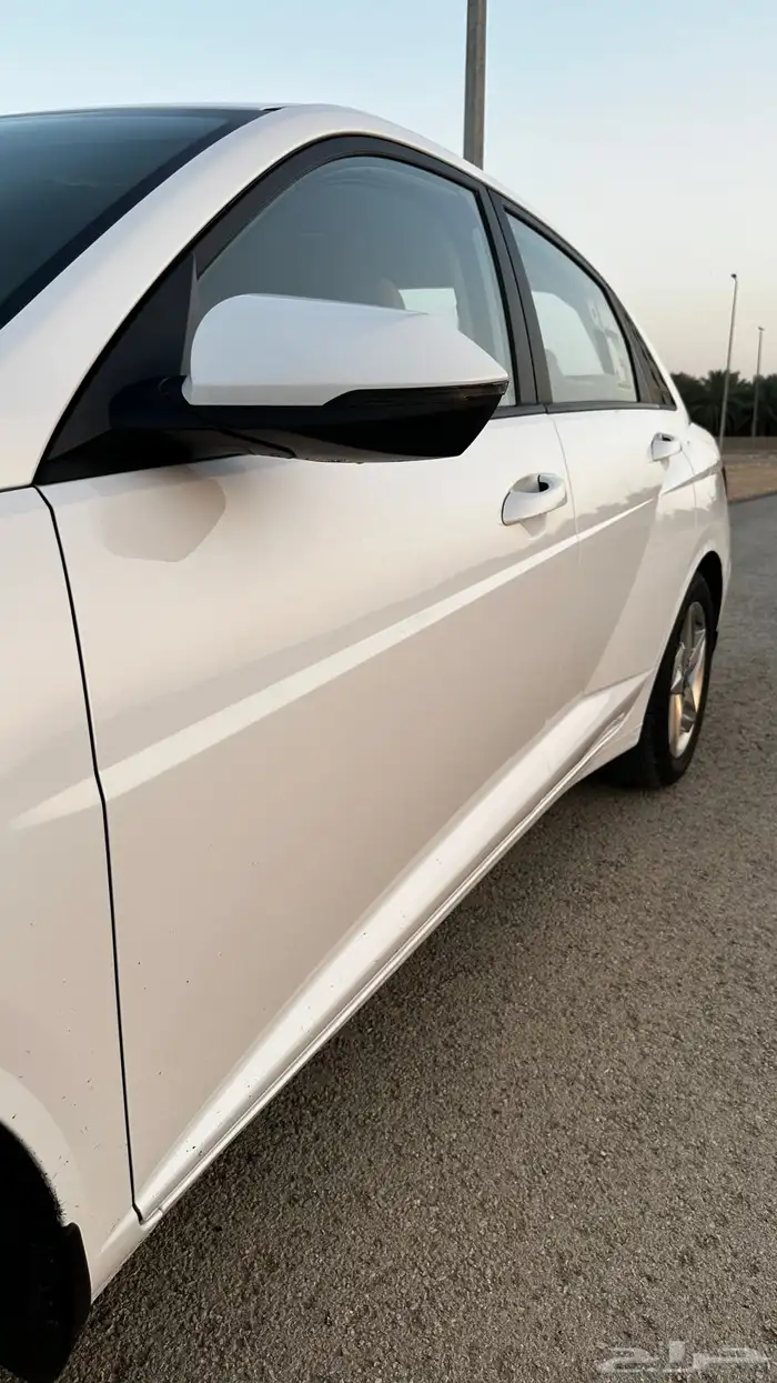 اكسنت 2024 وكاله مخزنه 13