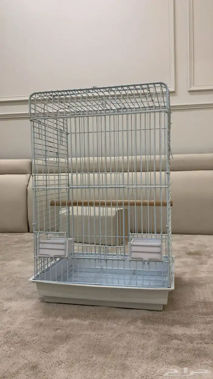 قفص كاسكو مكاو إلى آخره 2