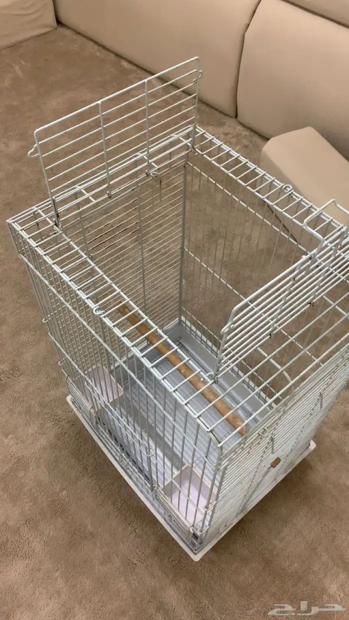 قفص كاسكو مكاو إلى آخره 3