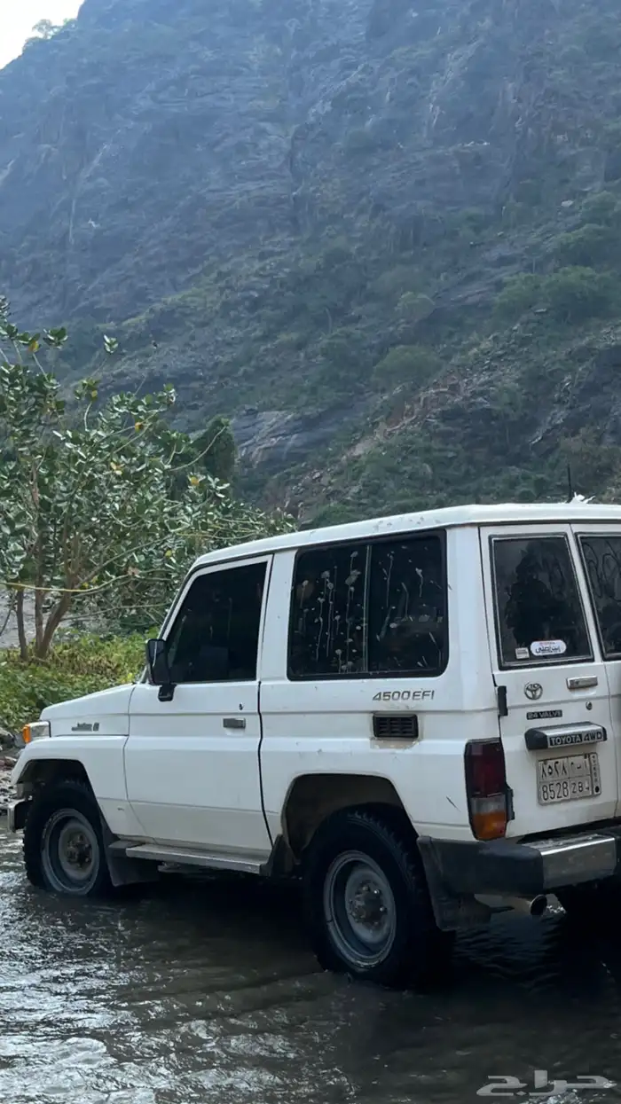 جيب ربع 1998 1