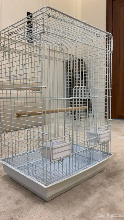 قفص كاسكو مكاو إلى آخره index