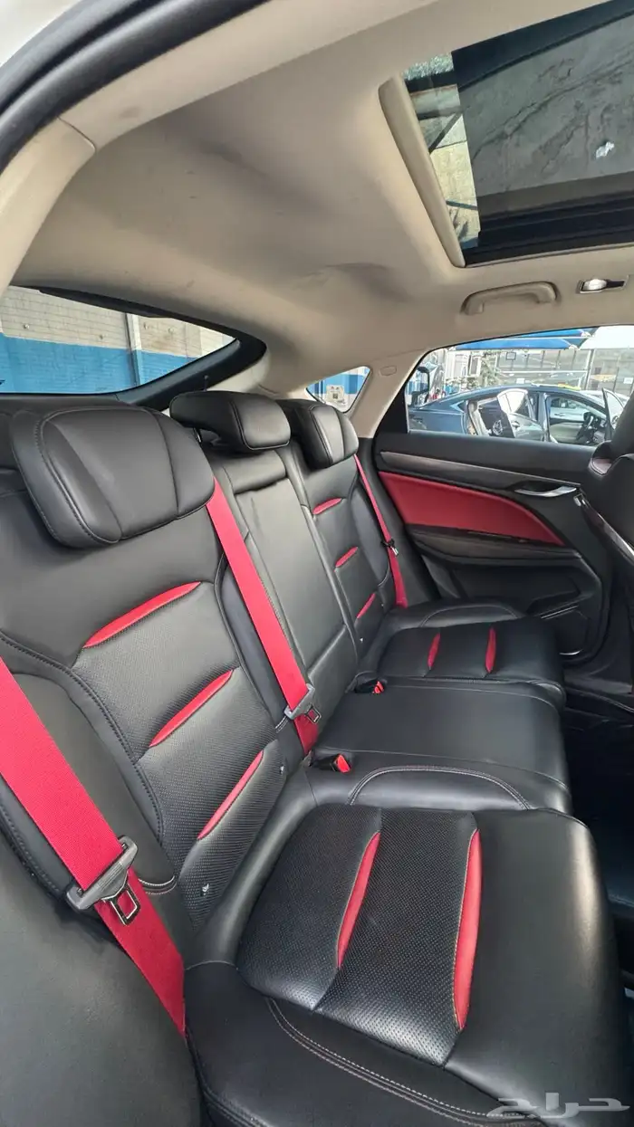 جلي توجيلا 2021 للتنازل Jelly Tugela 13