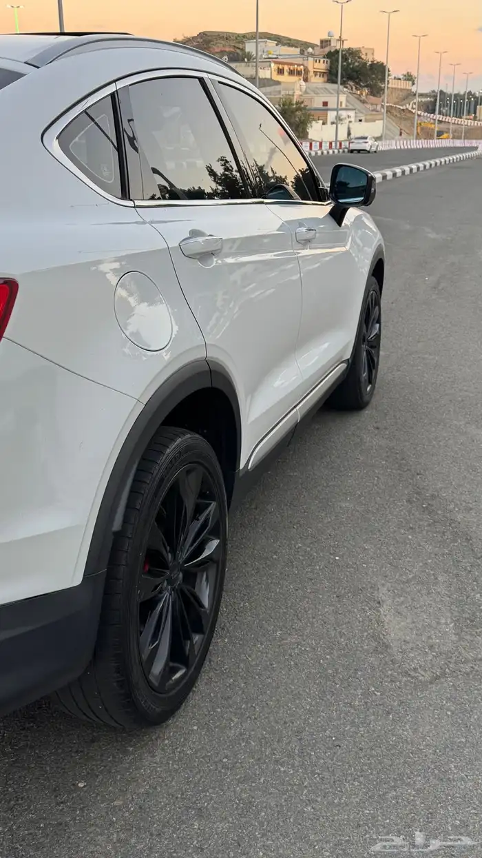 جلي توجيلا 2021 للتنازل Jelly Tugela 5