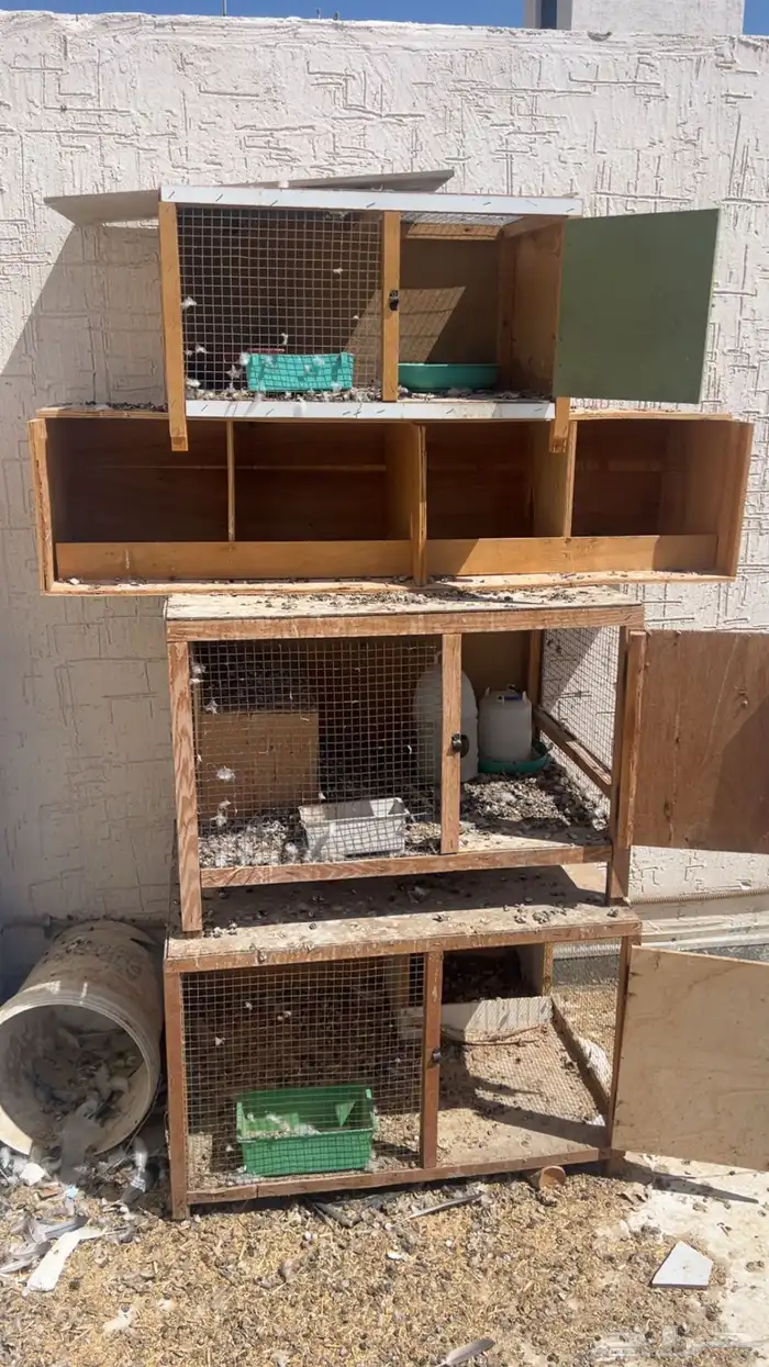 جوزين حمام موكي هزاز   محاكر 2