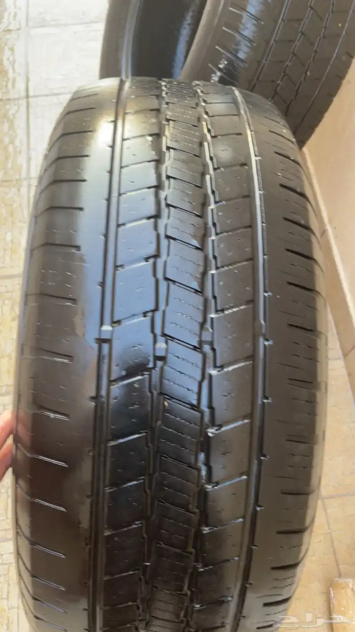 3 حبات كفرات تنفع للجيوب 2