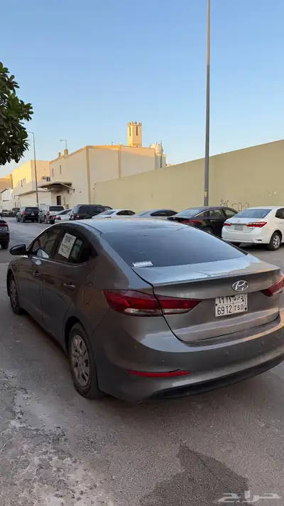 النترا 2018 نص فل index