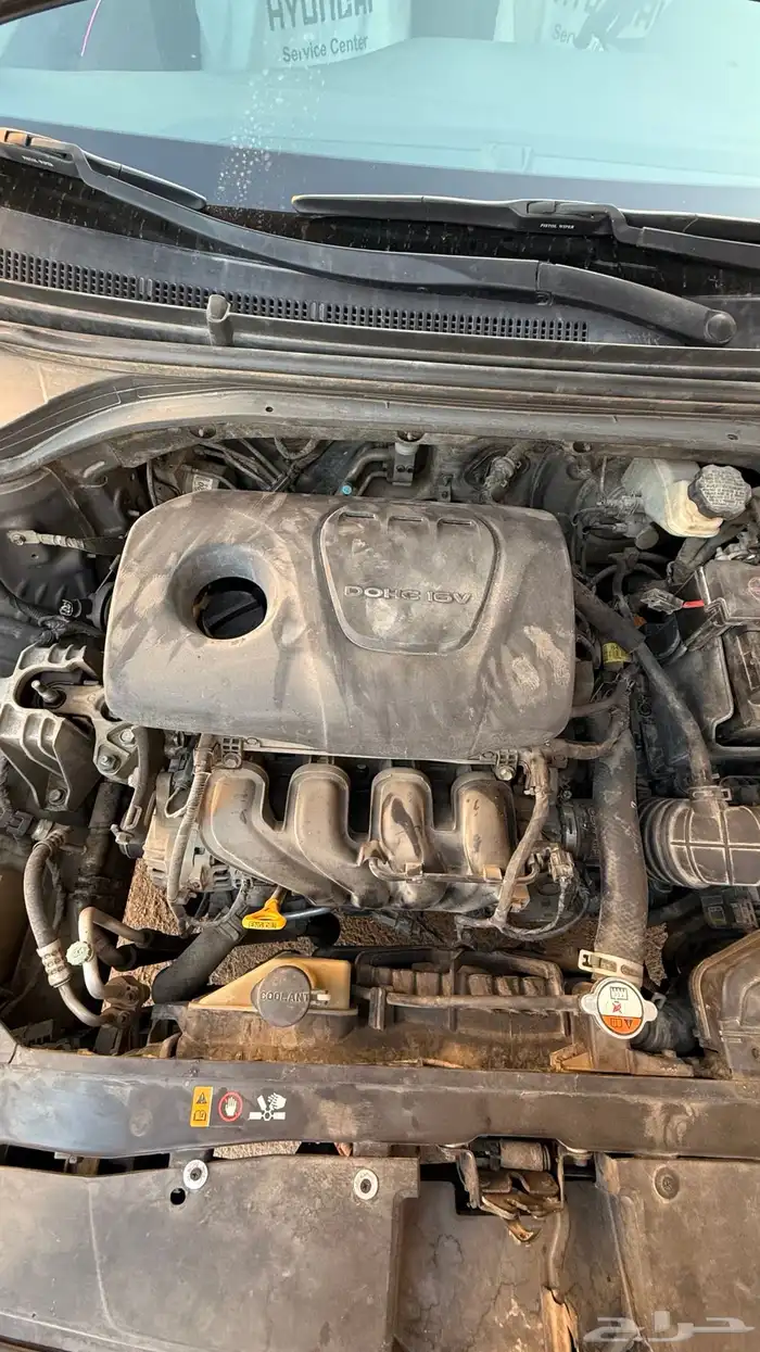 النترا 2018 نص فل 32