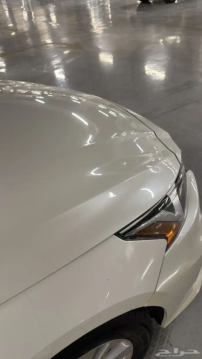 التيما 2020 S 34