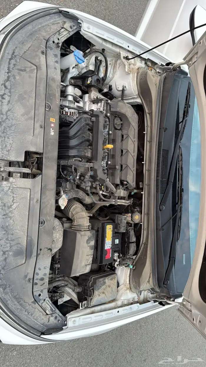 سيارة اكسنت 2025 10