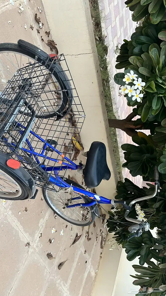 سيكل تون كبير بسله استعمال حشمه ونظييف كلشي ممتاز على السوم 0