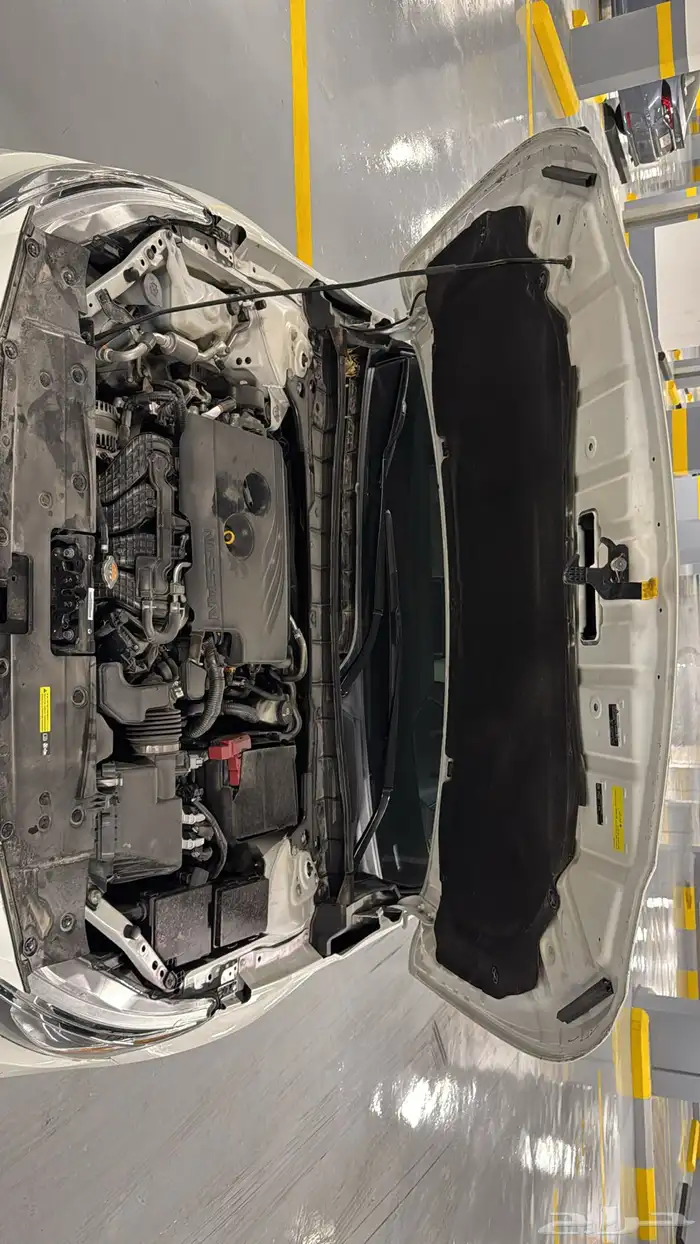 التيما 2020 S 16