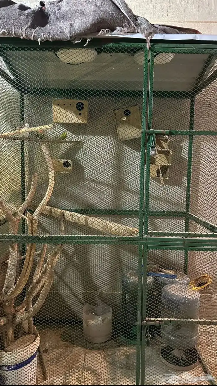 حضيرة طيور بقلاوه 1