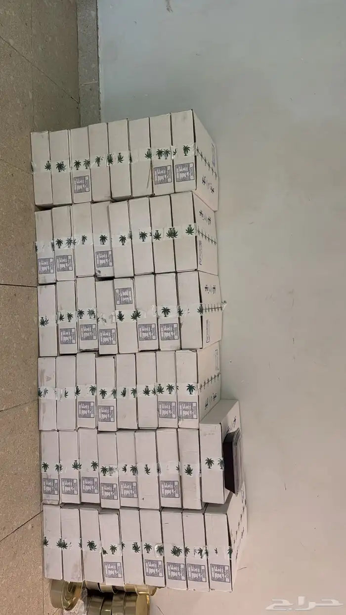 تمر صفري ملكي 2