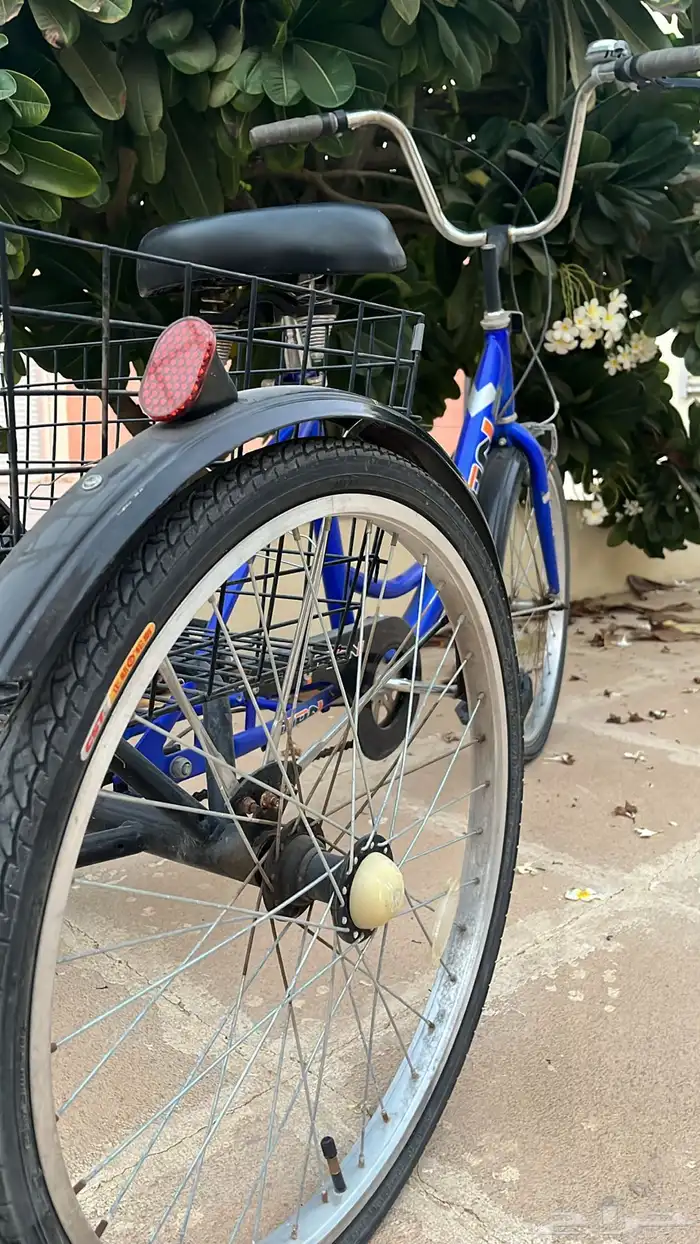 سيكل تون كبير بسله استعمال حشمه ونظييف كلشي ممتاز على السوم 1