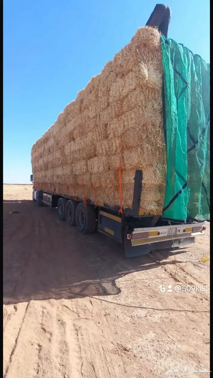 الدفع عند الوصول تبن برر قمح 3