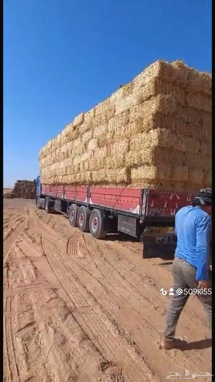 الدفع عند الوصول تبن برر قمح 2