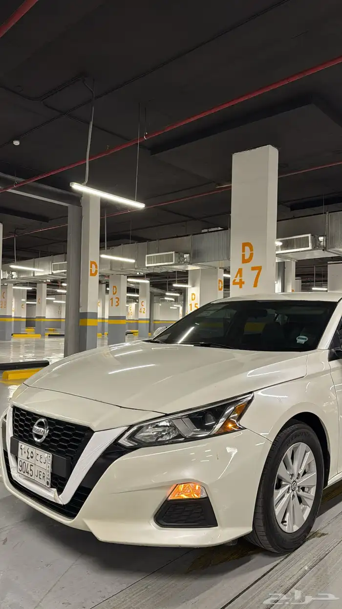 التيما 2020 S 19