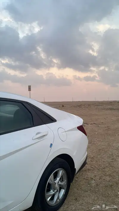 النترا 2021 index