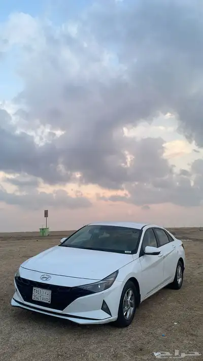 النترا 2021 index