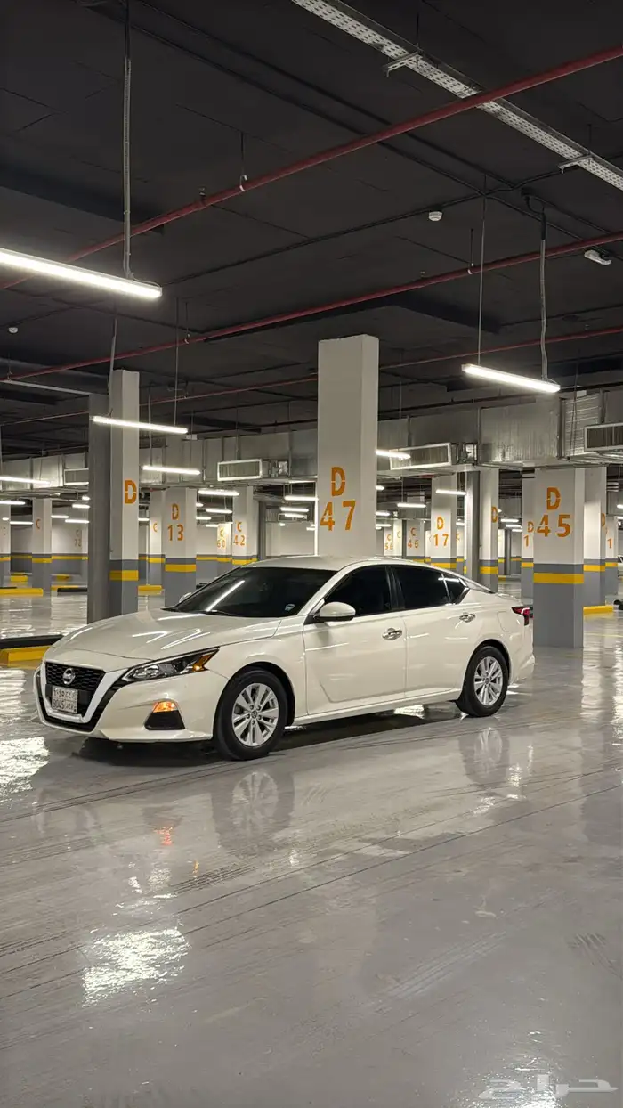 التيما 2020 S 12