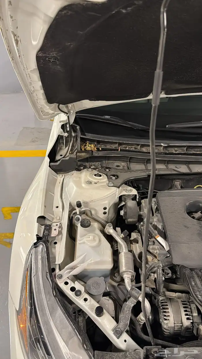 التيما 2020 S 17