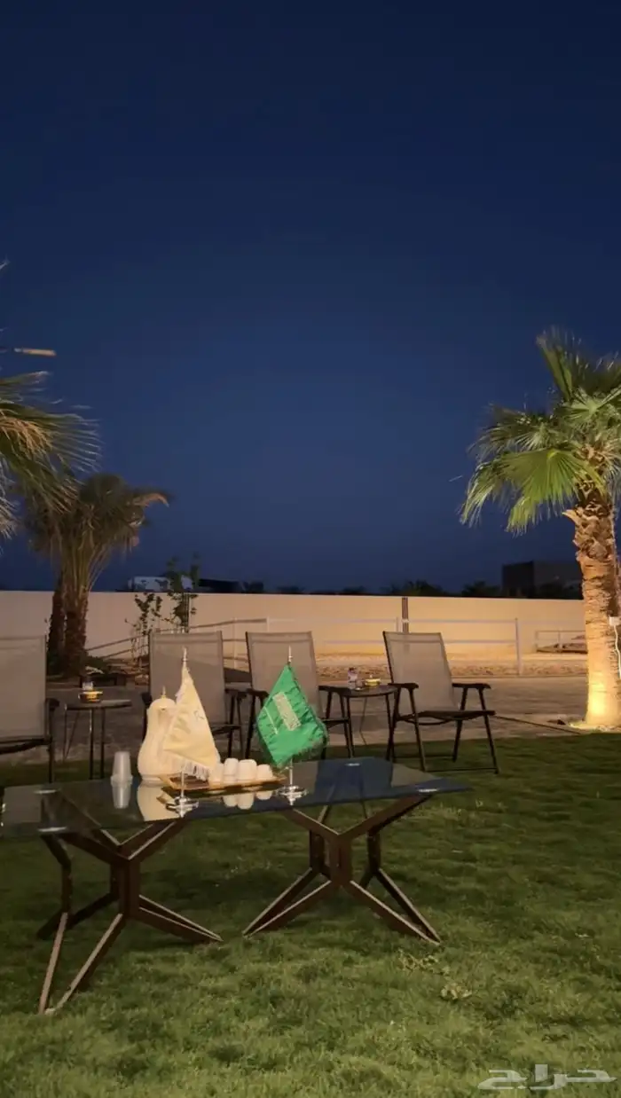 متوفر لدينا ايواء خيل وتدريب خيل الجمال (الشو) الموقع ديراب 10