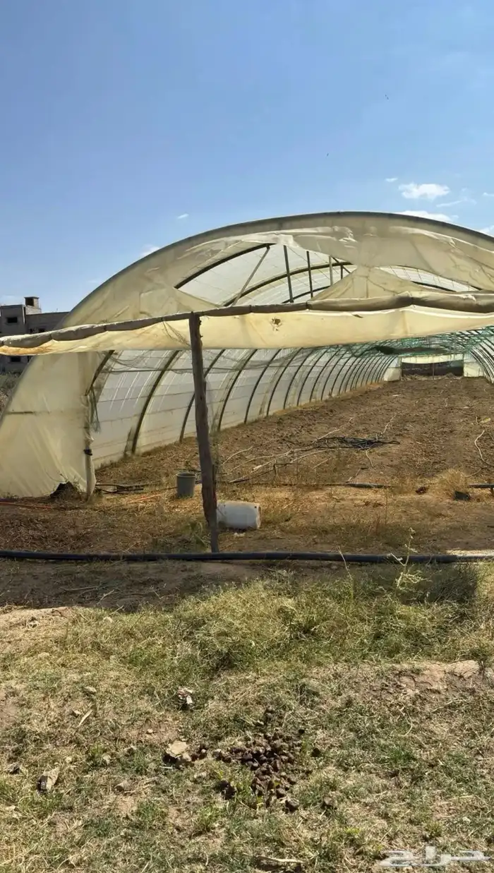 بيت محمي مجلفن فرنسي 1