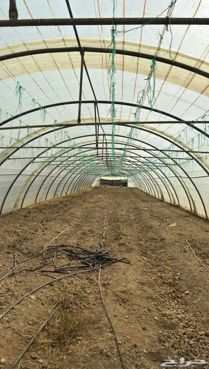 بيت محمي مجلفن فرنسي 2