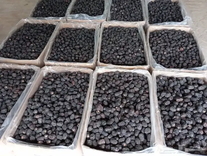 عجوة المدينة انتاج السنة درجة أولى سعر الكيلو 20 ريال (عدد ا 8