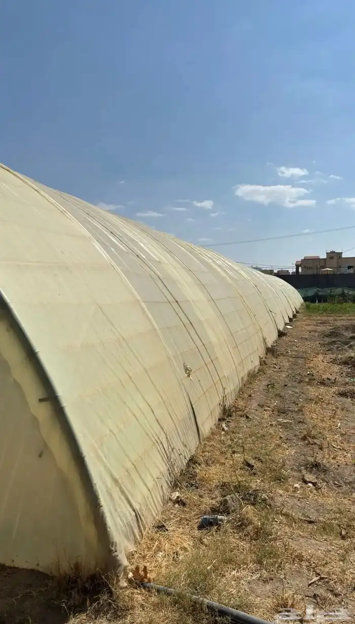 بيت محمي مجلفن فرنسي 4