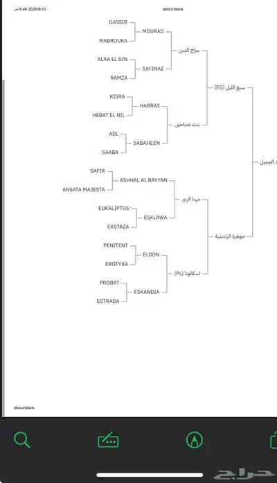 حصان ركوب index