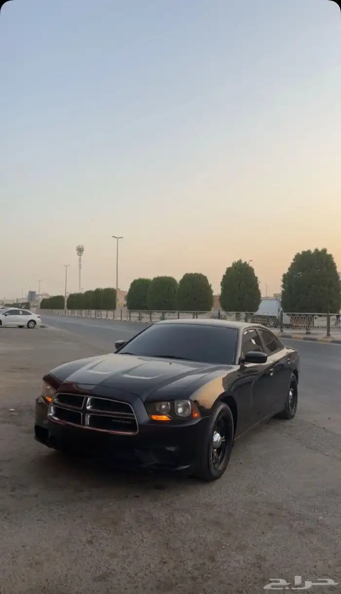 تشارجر 6 سرندل 2013 4