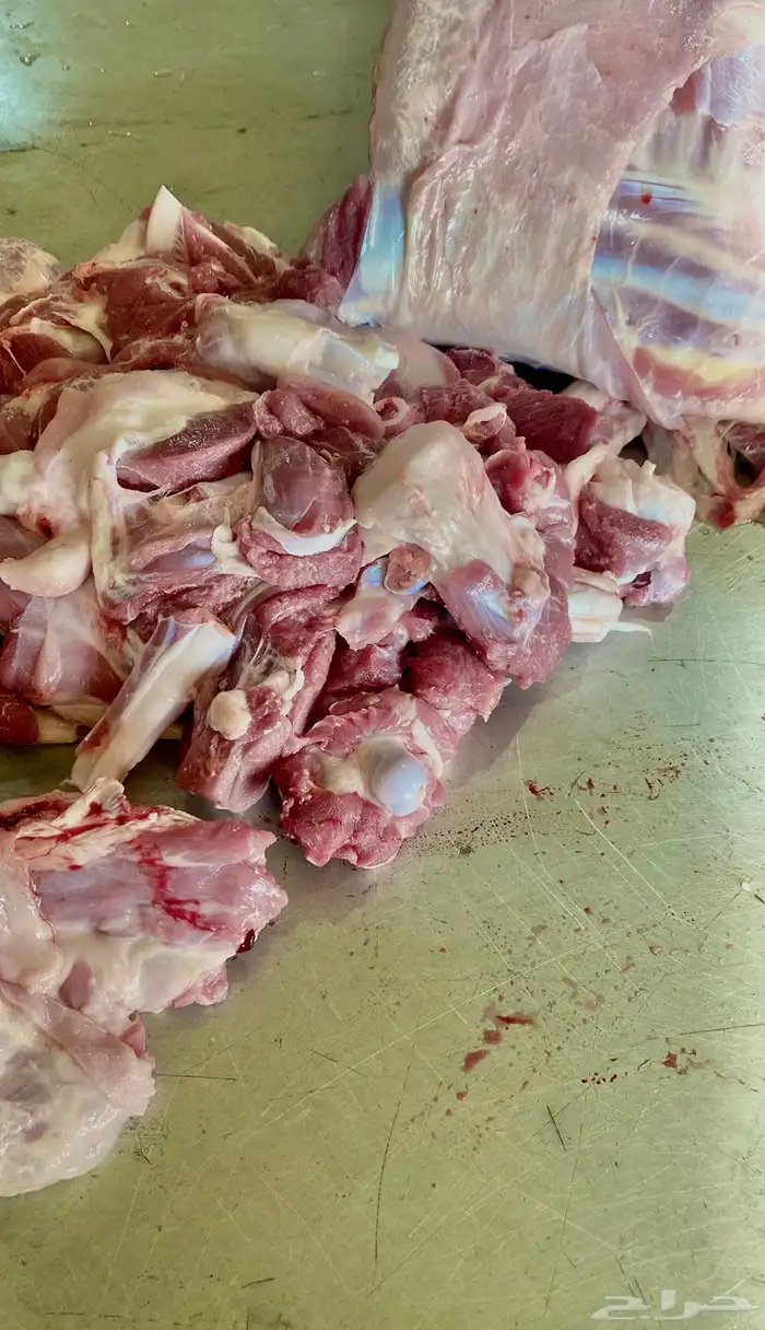 ذبايح نعيم   تابي و تمارا 21