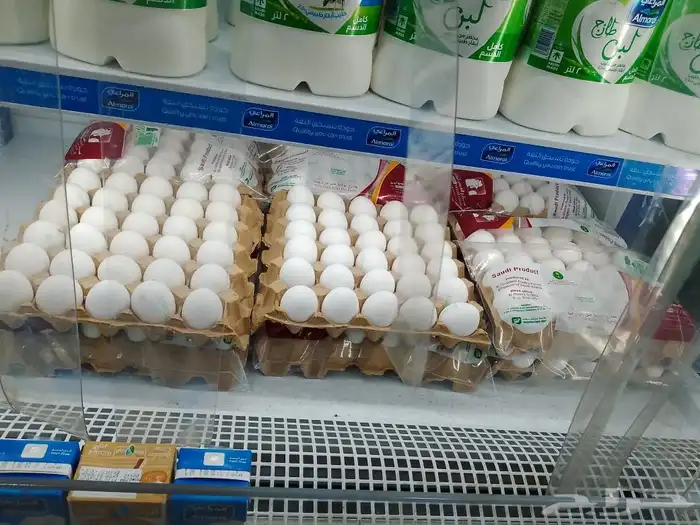 بيض بالجمله 2