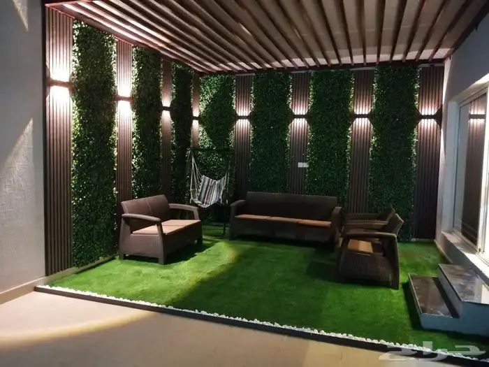 عشب الافندر 6