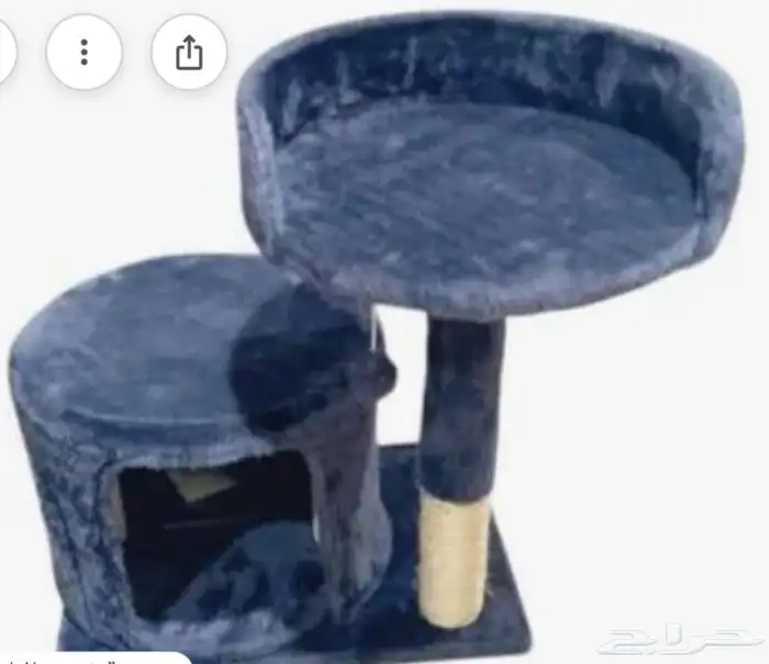 للبيع العاب قطط قطه خداشه كبيره صغيره 3