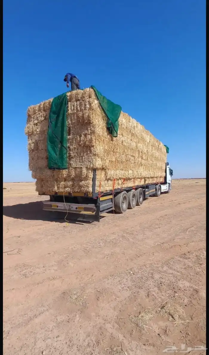 الدفع عند الوصول تبن برر قمح 5