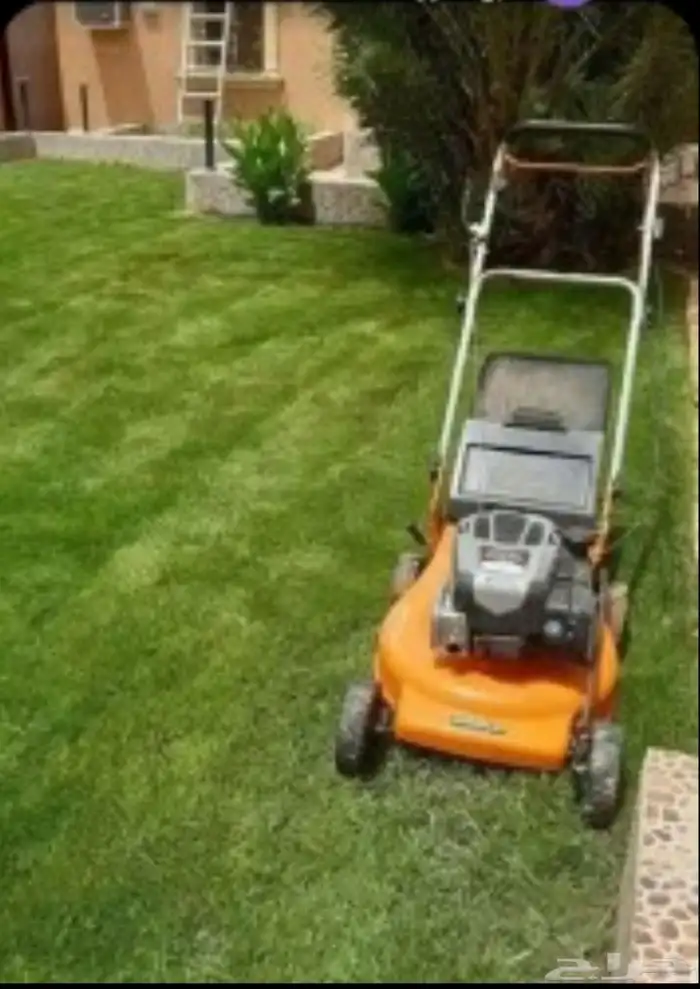 قص الثيل الطبيعي 0