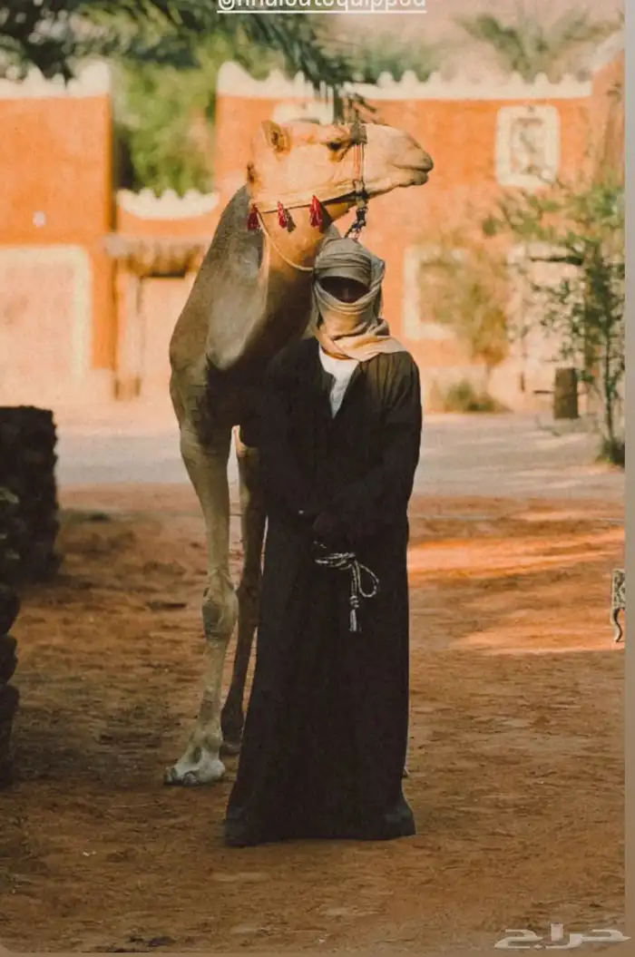 آجار جمال رحول ركبي لي التصوير وا الفعاليات وا المناسبه 7