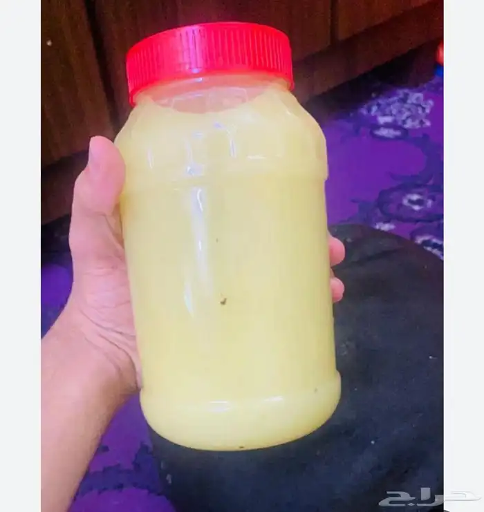 سمن خروف بلدي ابيض 1