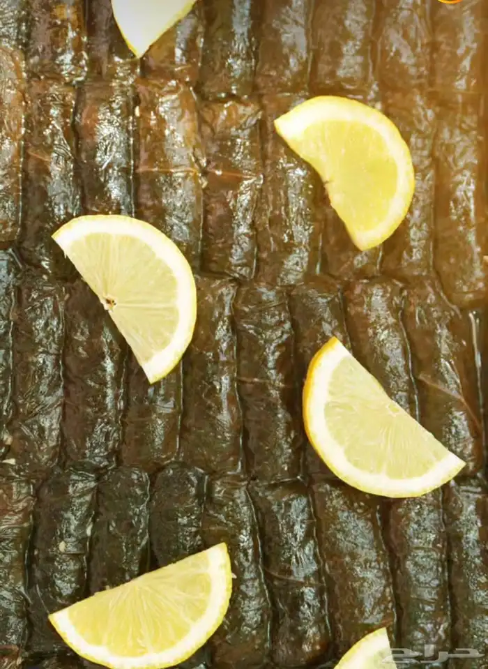 ورق عنب فريش يوم بيوم وملفوف وكبه 1