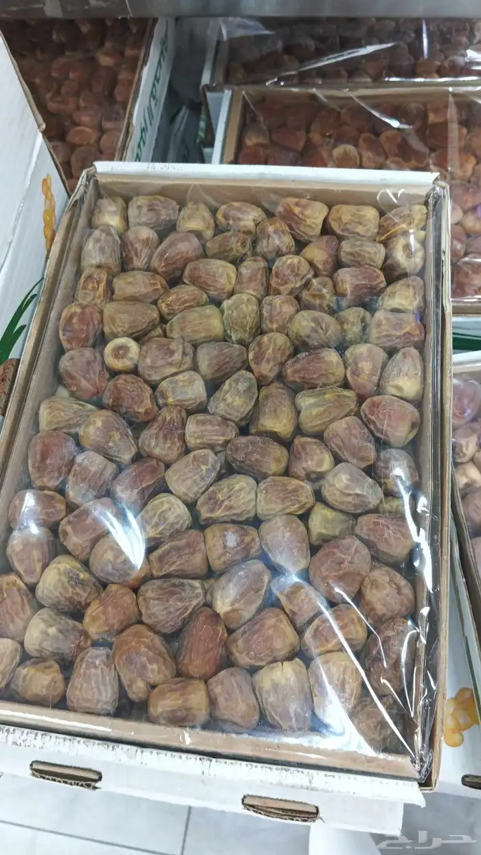 تاجير خيام سمعات كرسي طولات زل كنب 30