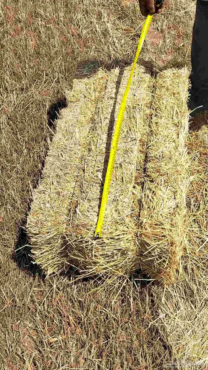 تبن بر معية شد 85 سيم مشدود 5